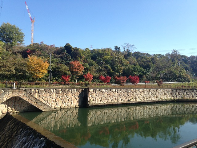 磐船神社の紅葉1