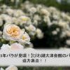 【2023年バラが見頃！】びわ湖大津館のバラは迫力満点！！